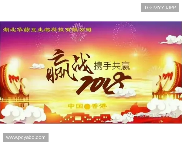 亚博赞助网站选择指南帮助游戏企业找到最适合的合作伙伴实现共赢